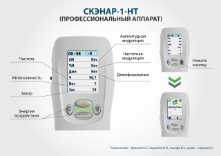 СКЭНАР-1-НТ (исполнение 01)  в Сочи купить Нейродэнс ПКМ официальный сайт - denasdevice.ru 